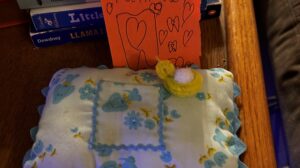 The Tooth Fairy