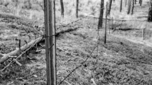 “Don’t Fence Me in!”