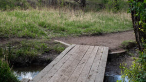 An Ever-Present Bridge
